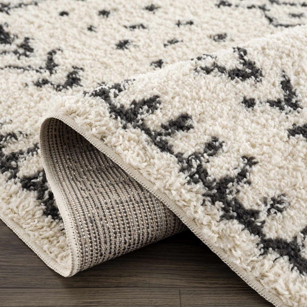 
                      
                        Hauppauge Plush Area Rug
                      
                    