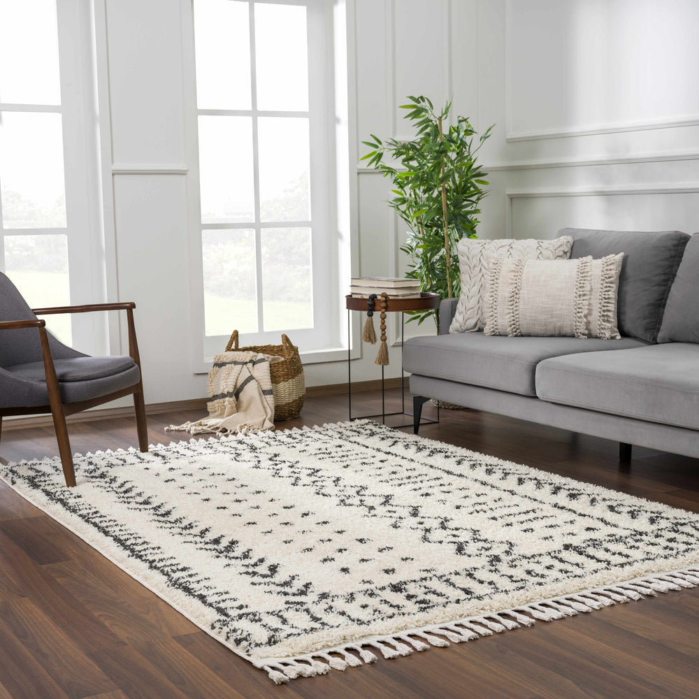 
                      
                        Hauppauge Plush Area Rug
                      
                    
