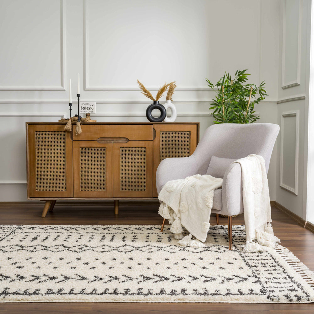 
                      
                        Hauppauge Plush Area Rug
                      
                    