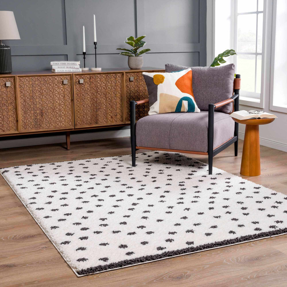 
                      
                        Chaia Dotted Black & White Plush Rug
                      
                    