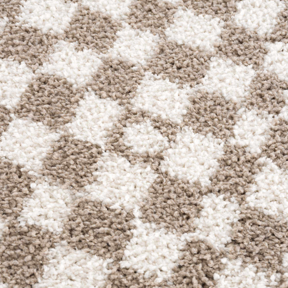 
                      
                        Kieu Light Gray & Taupe Checkered Area Rug
                      
                    