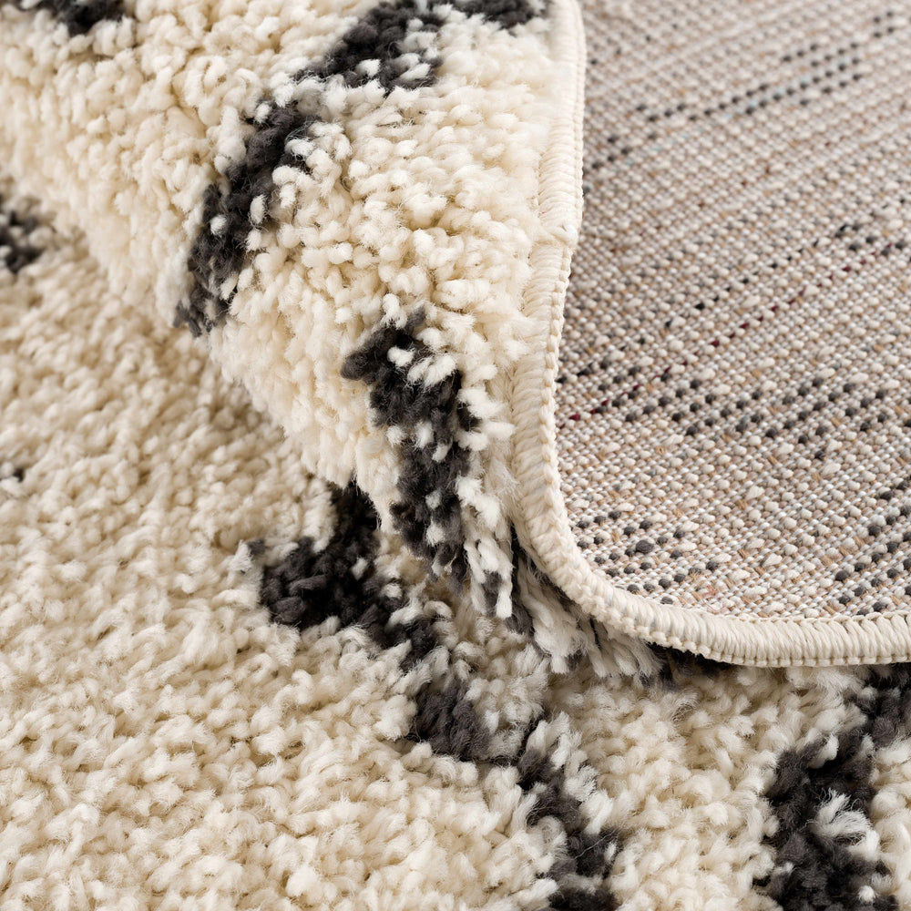 
                      
                        Hauppauge Plush Area Rug
                      
                    