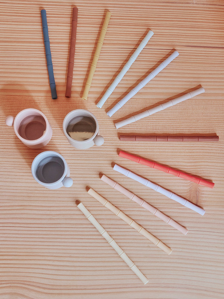 
                      
                        Bamboo Silicone Straw, Set of 6 - Cherry Red/Vanilla
                      
                    