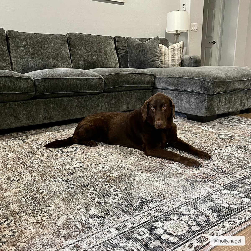 
                      
                        Ganyangan Washable Rug
                      
                    