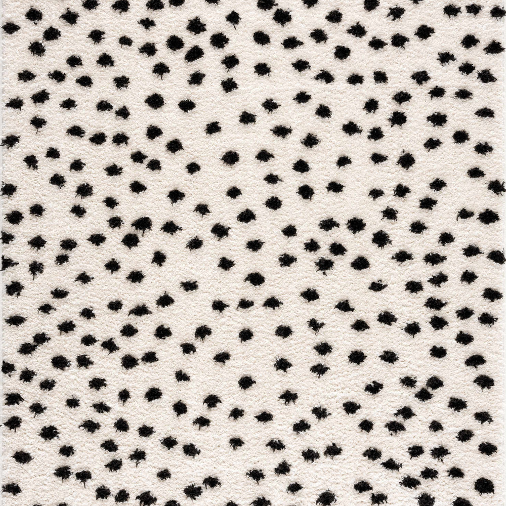 Cansu Black & White Area Rug