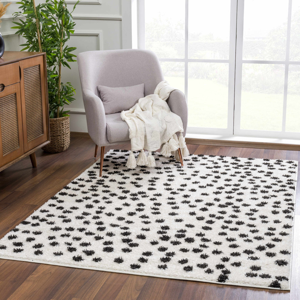 
                      
                        Cansu Black & White Area Rug
                      
                    
