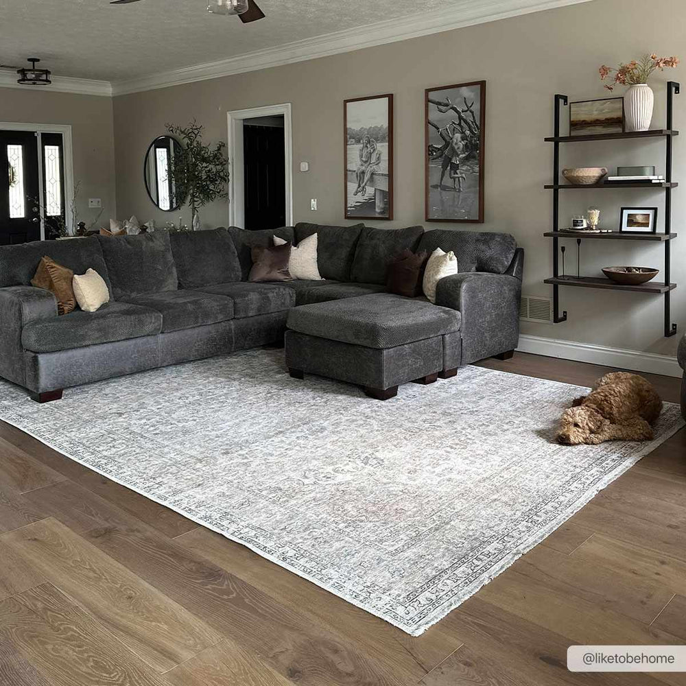 
                      
                        Cream Holi-2301 Washable Area Rug
                      
                    