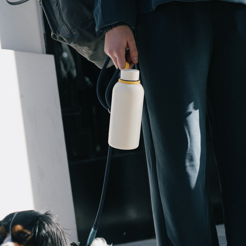 
                      
                        Insulated Reusable Bottle, 12 oz - Ivory
                      
                    