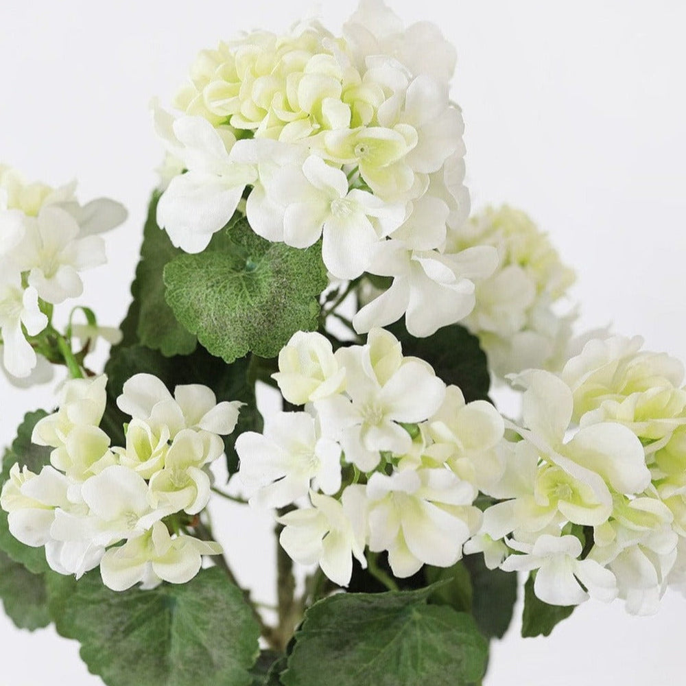 
                      
                        Weather Resistant Outdoor Geranium Bush - 18"
                      
                    