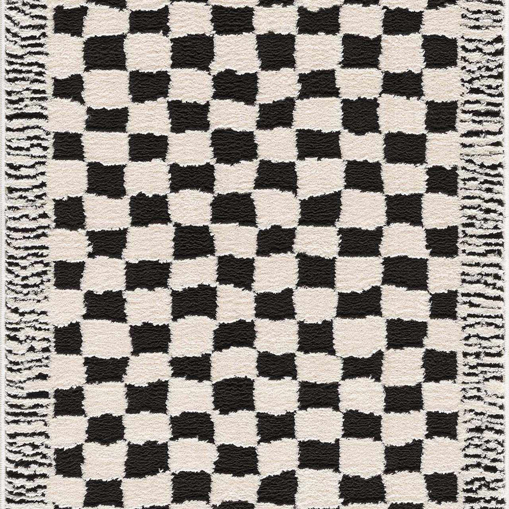
                      
                        Leryn Black & White Checkered Area Rug
                      
                    