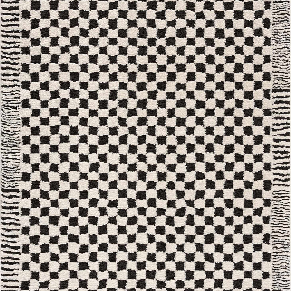 
                      
                        Leryn Black & White Checkered Area Rug
                      
                    