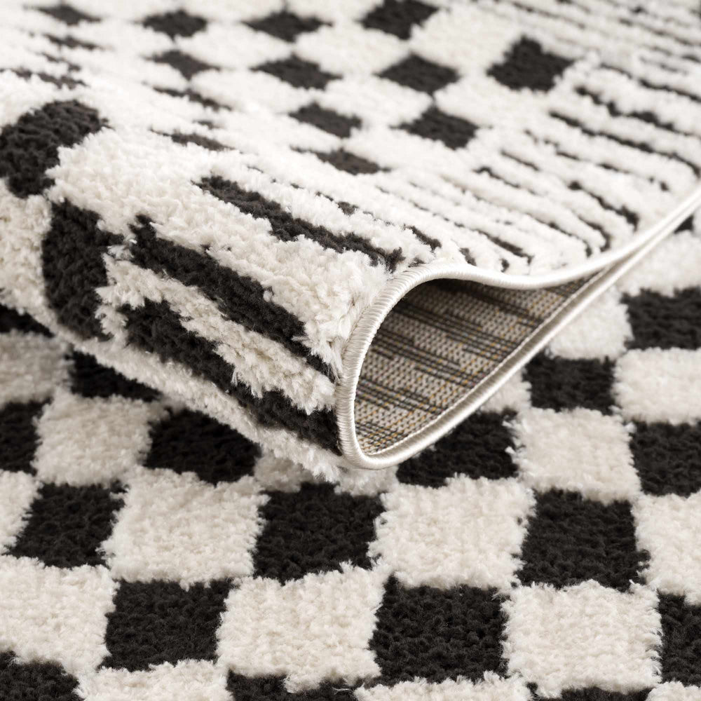 
                      
                        Leryn Black & White Checkered Area Rug
                      
                    