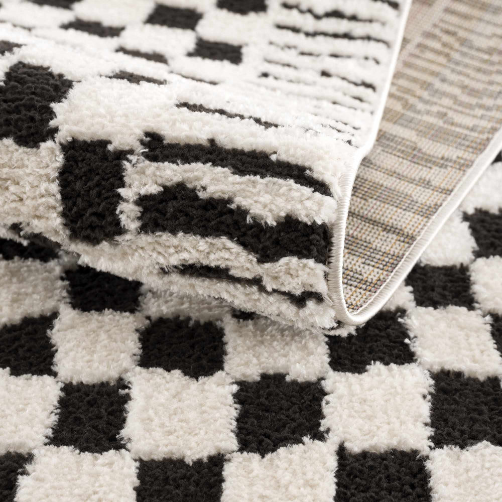 
                      
                        Leryn Black & White Checkered Area Rug
                      
                    