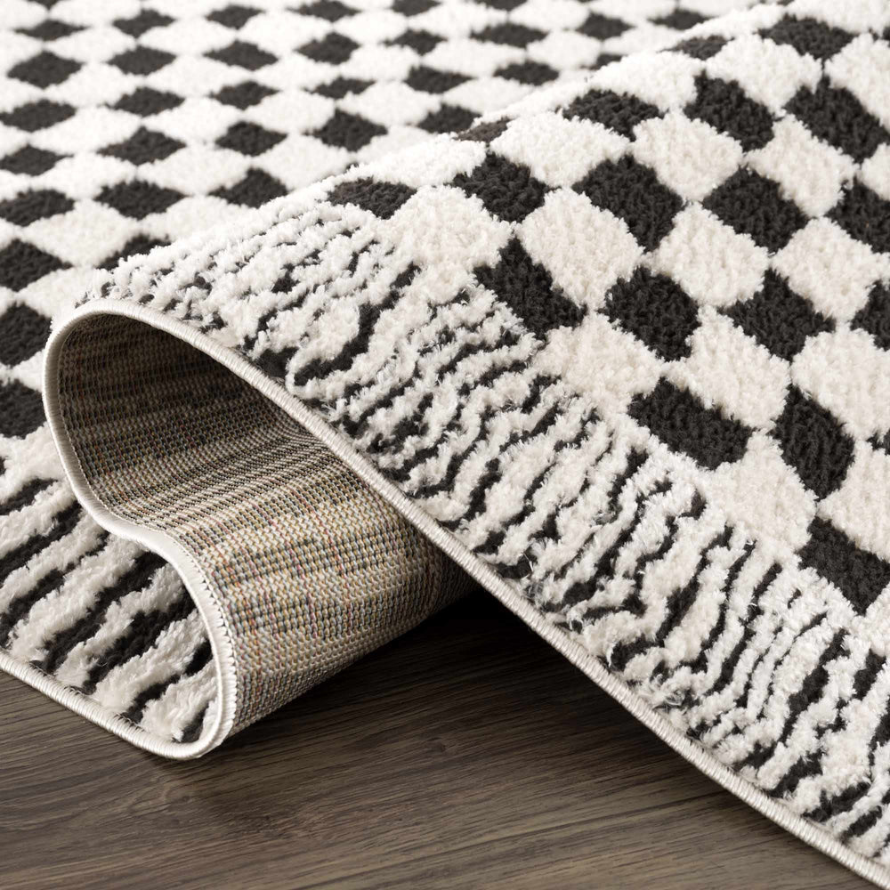 
                      
                        Leryn Black & White Checkered Area Rug
                      
                    