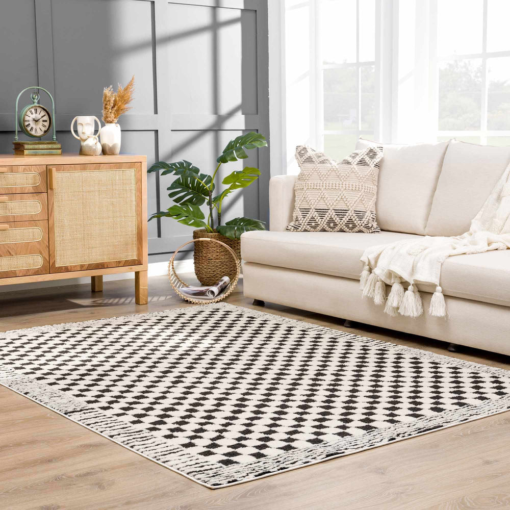 
                      
                        Leryn Black & White Checkered Area Rug
                      
                    