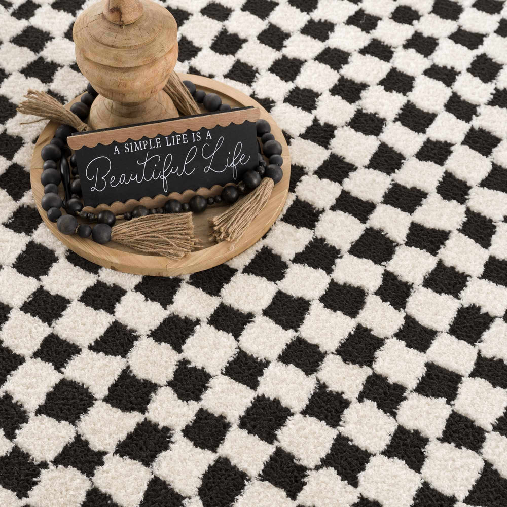 
                      
                        Leryn Black & White Checkered Area Rug
                      
                    