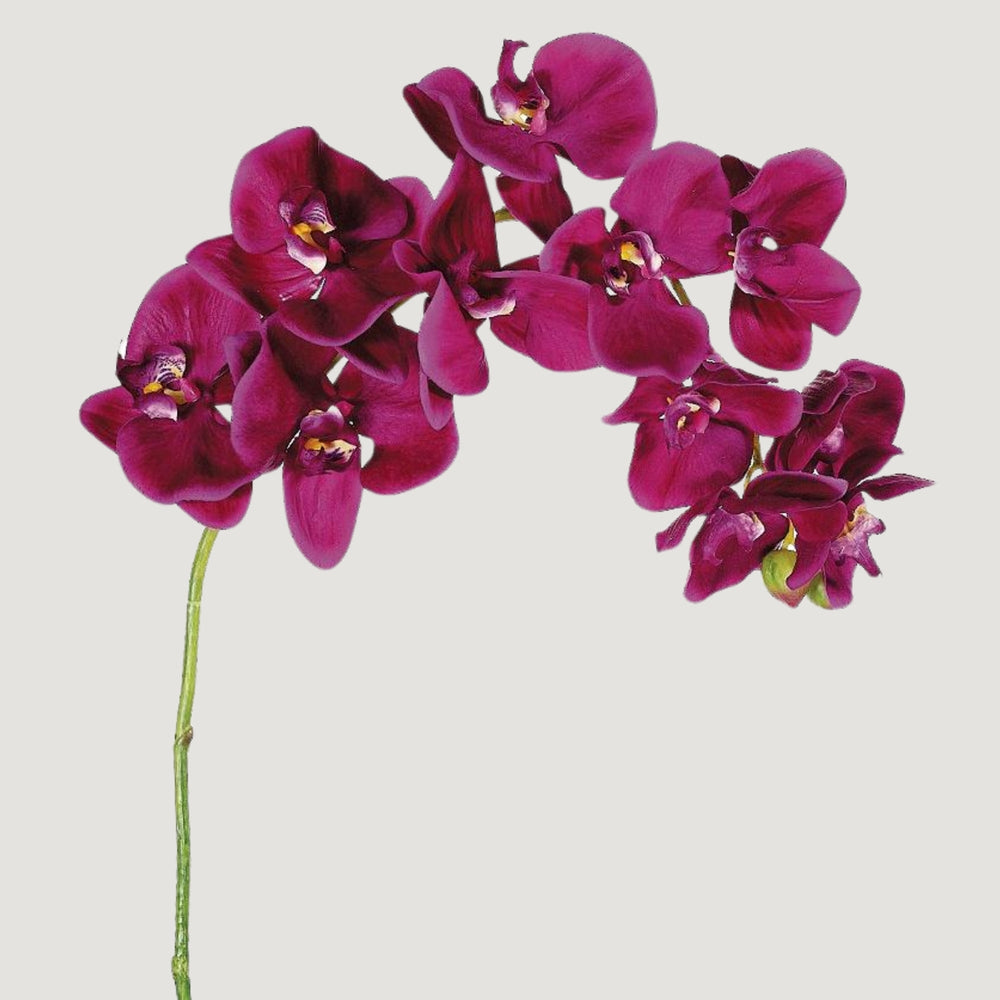 Violet Fuchsia Faux Phalaenopsis Orchid - 37"