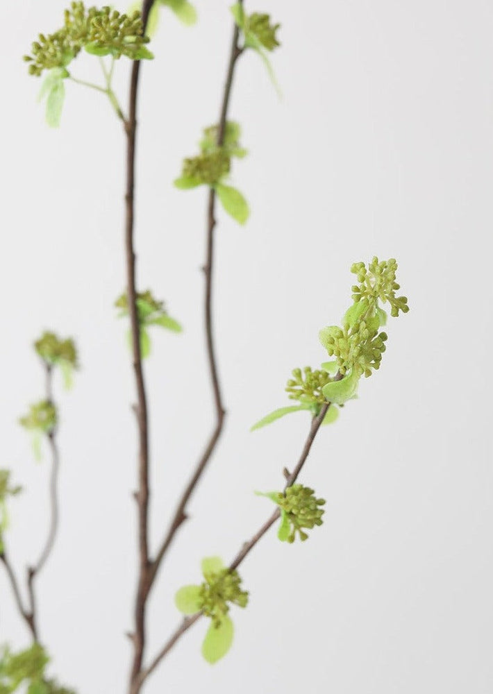 
                      
                        Artificial Branch with Green Buds, 40"
                      
                    