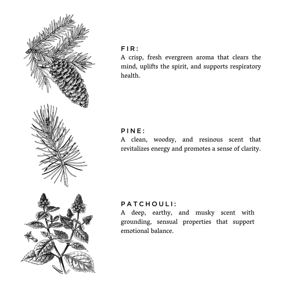 
                      
                        Room & Linen Spray | Forest Bathing
                      
                    