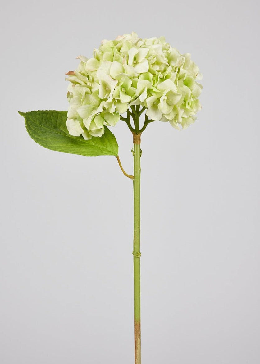 Artificial Flowers French Country Green Real Touch Hydrangea Stem, 18