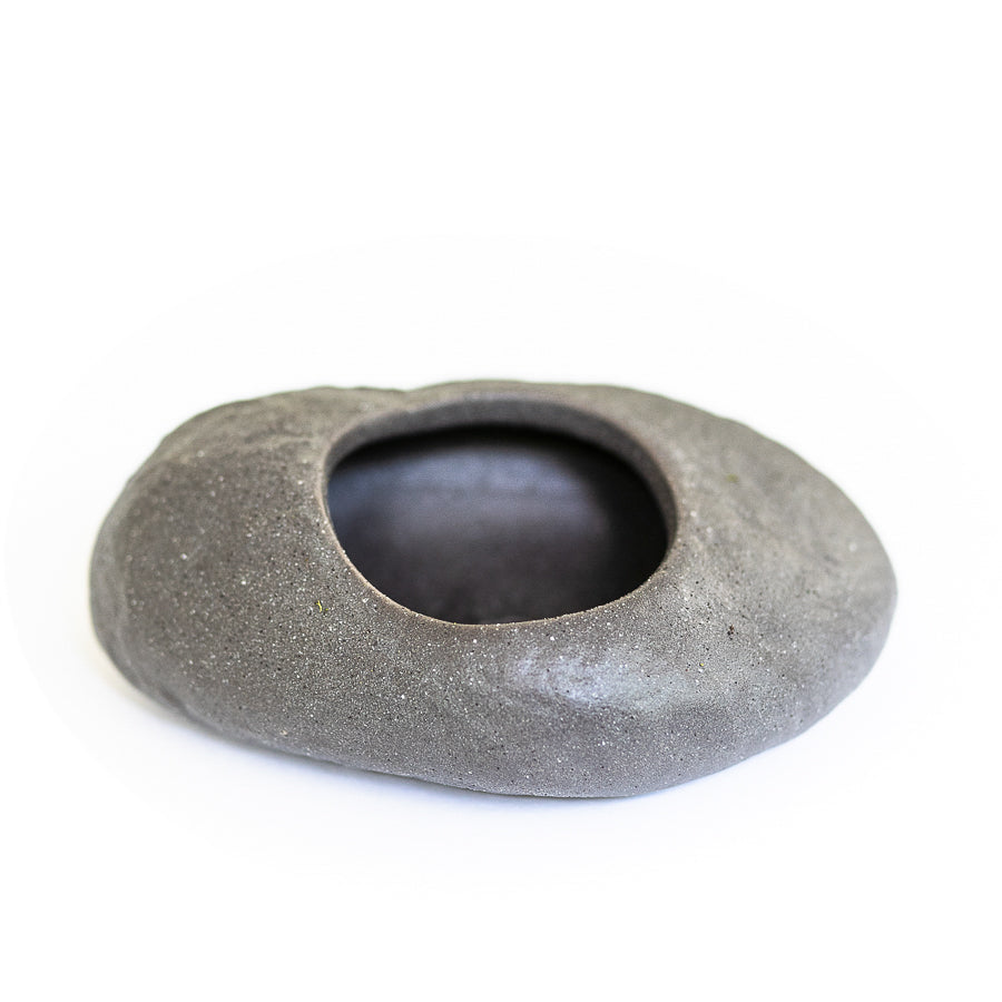 
                      
                        Gray Ceramic Stone with Assorted Tillandsia Air Plant
                      
                    