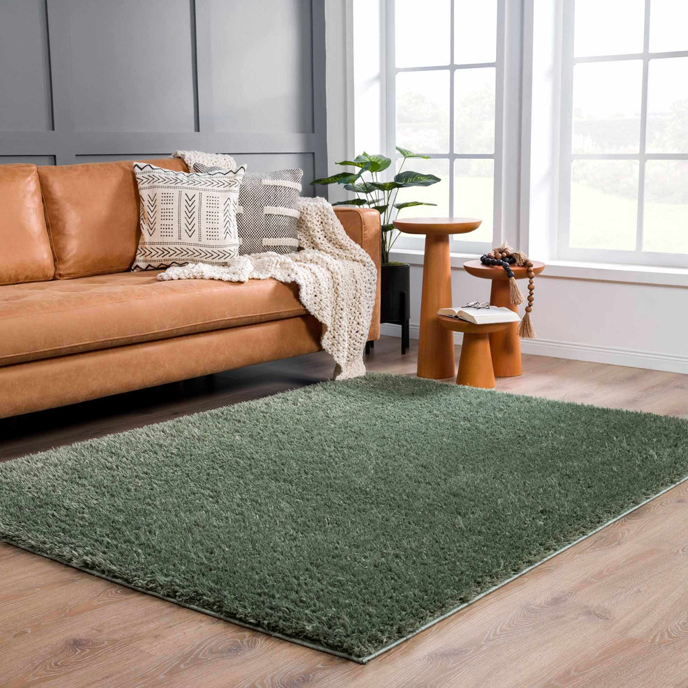 
                      
                        Faina Solid Green Washable Shag Rug
                      
                    
