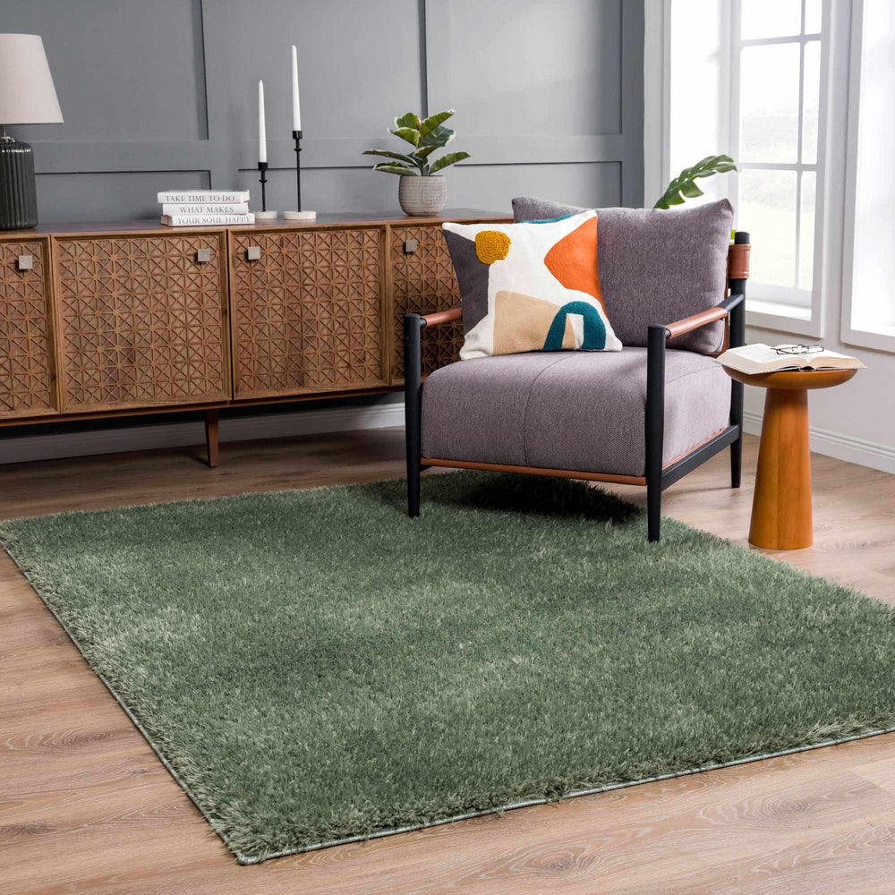 
                      
                        Faina Solid Green Washable Shag Rug
                      
                    