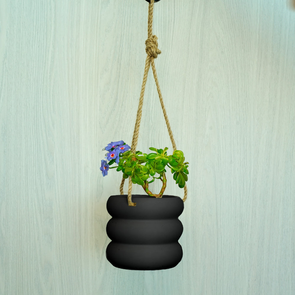
                      
                        Hanging Bubble Planter
                      
                    
