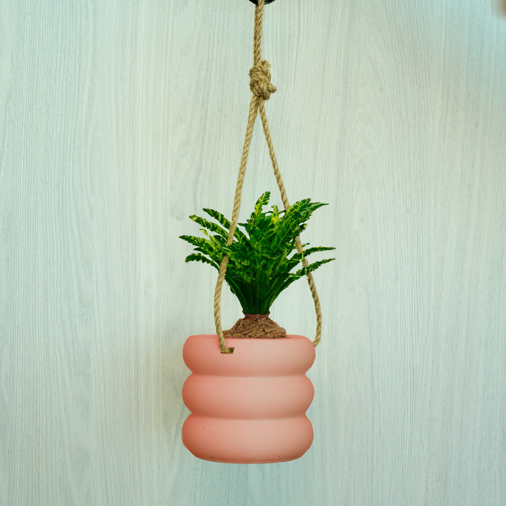 
                      
                        Hanging Bubble Planter
                      
                    