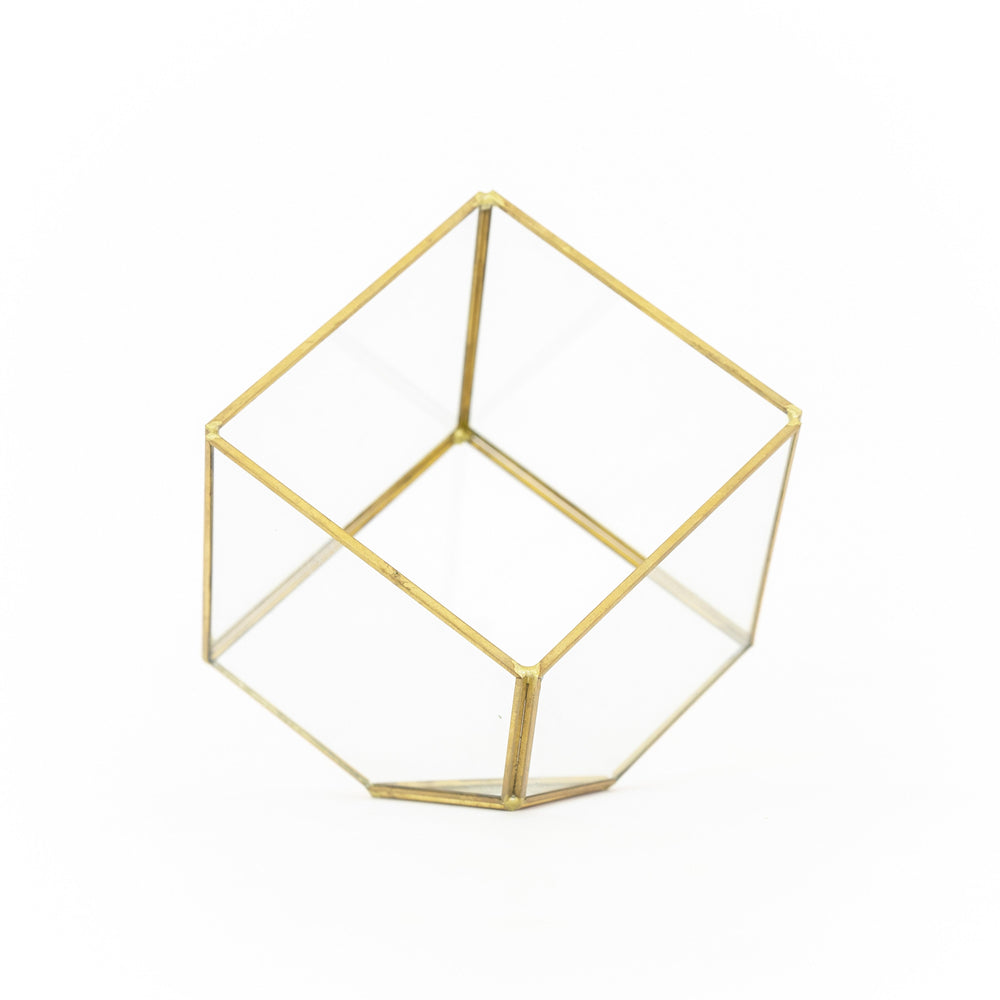 Heptahedron Geometric Glass Terrarium with Gold Metallic Finish for Air Plants