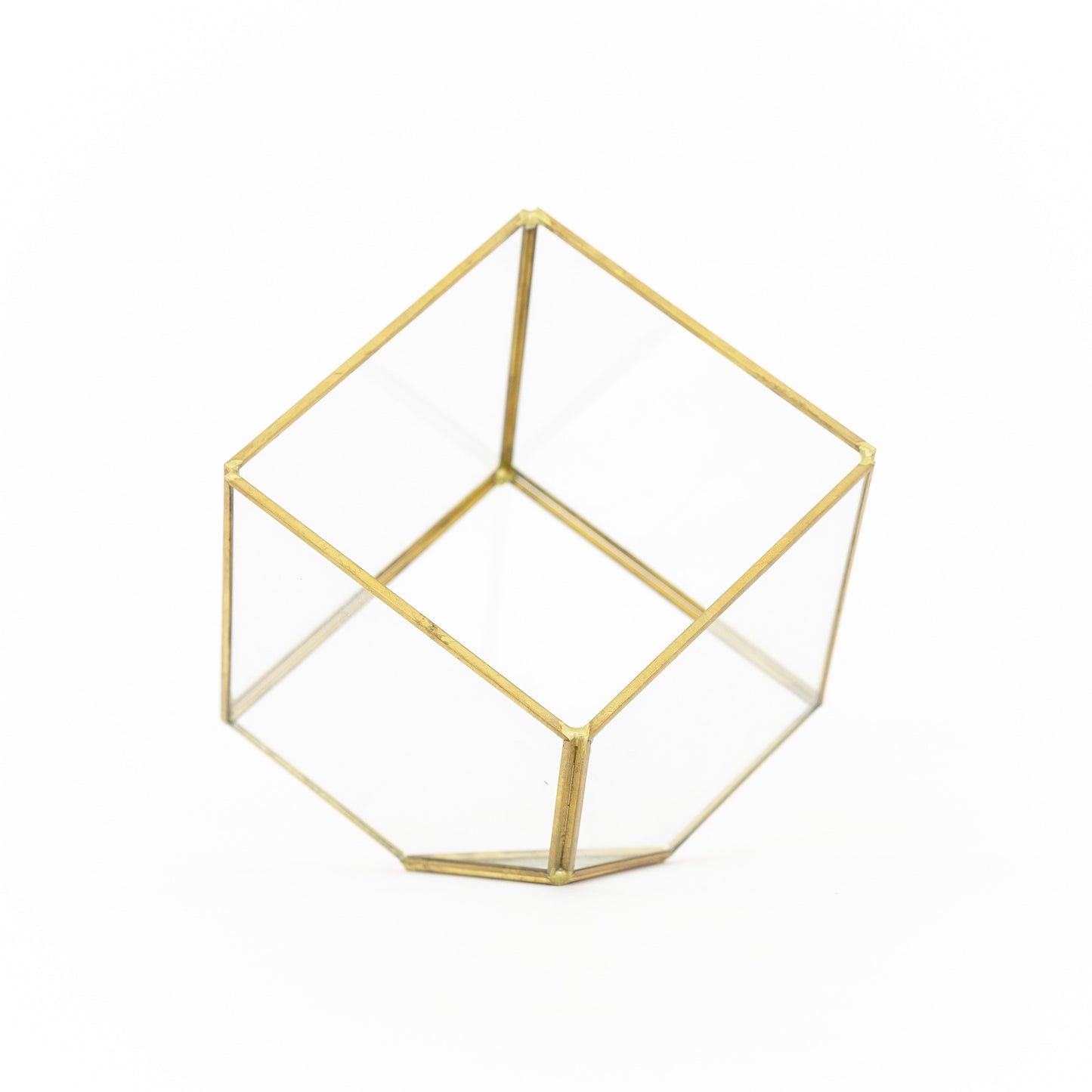 Heptahedron Geometric Glass Terrarium with Gold Metallic Finish for Air Plants