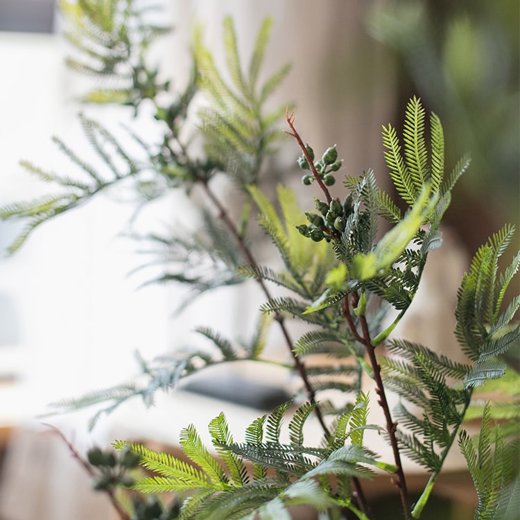 
                      
                        Artificial Faux Acacia Plant Stem 47" Tall
                      
                    
