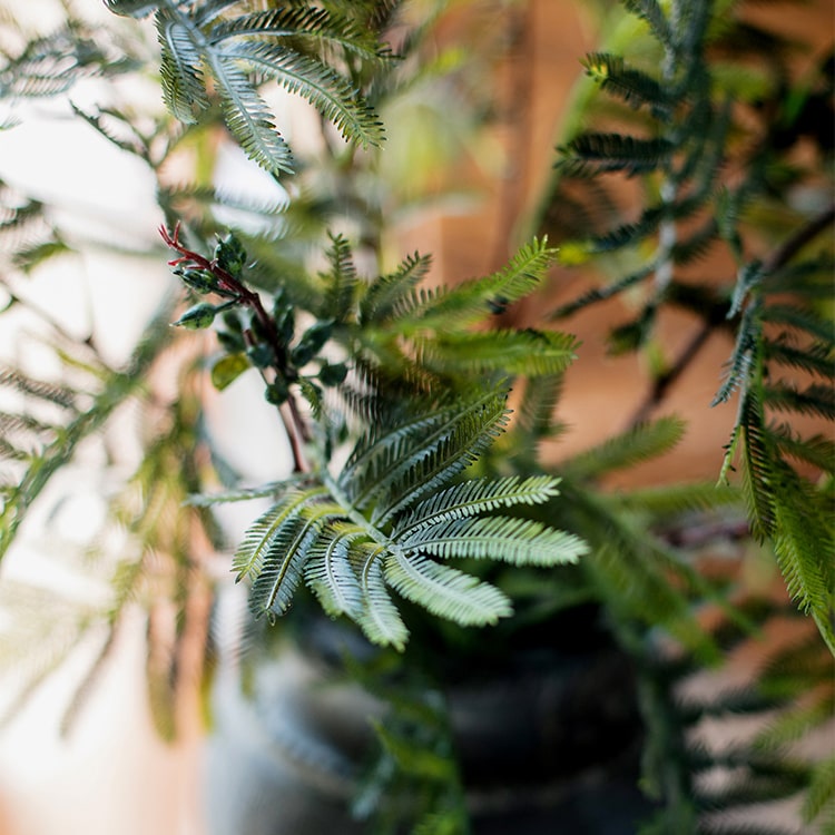 
                      
                        Artificial Faux Acacia Plant Stem 47" Tall
                      
                    
