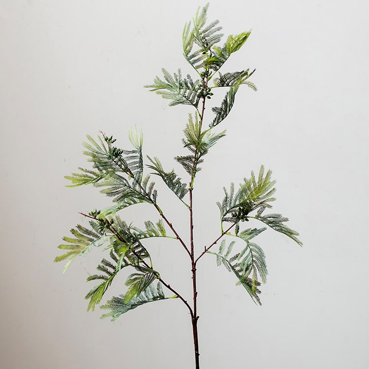 
                      
                        Artificial Faux Acacia Plant Stem 47" Tall
                      
                    