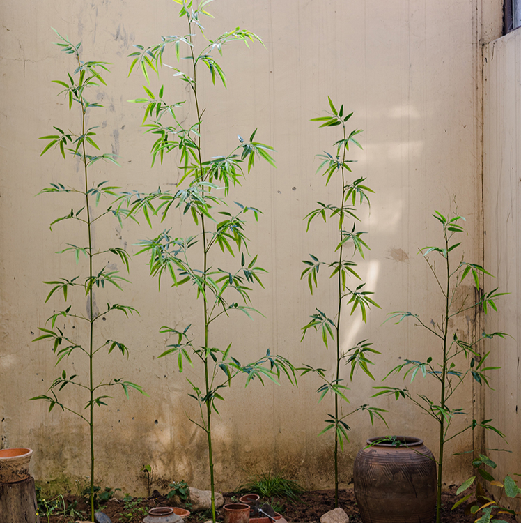 
                      
                        Artificial Bamboo Plant Stem, Set of 10
                      
                    