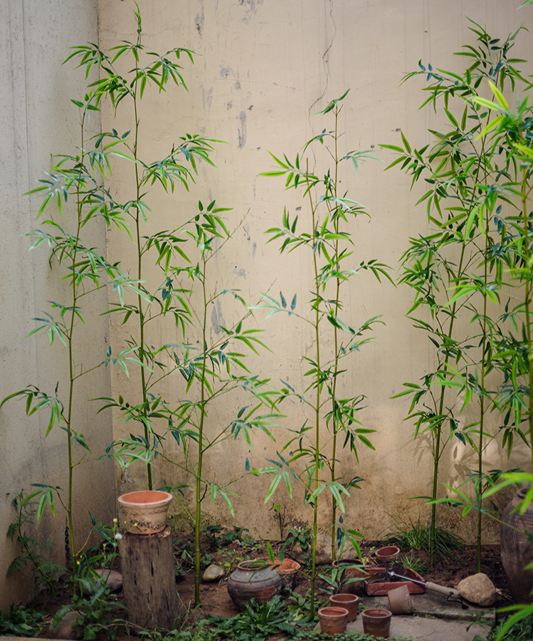 
                      
                        Artificial Bamboo Plant Stem, Set of 10
                      
                    