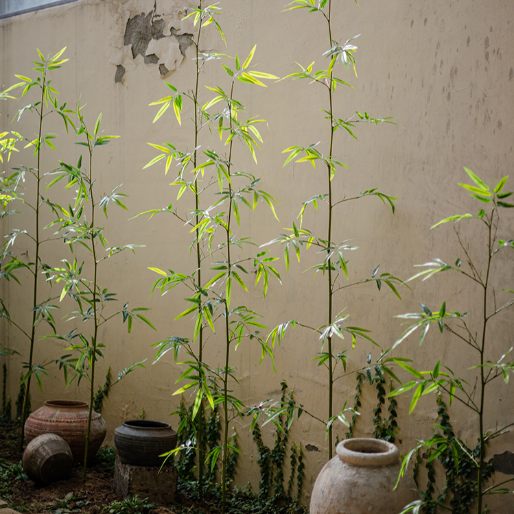 
                      
                        Artificial Bamboo Plant Stem, Set of 10
                      
                    