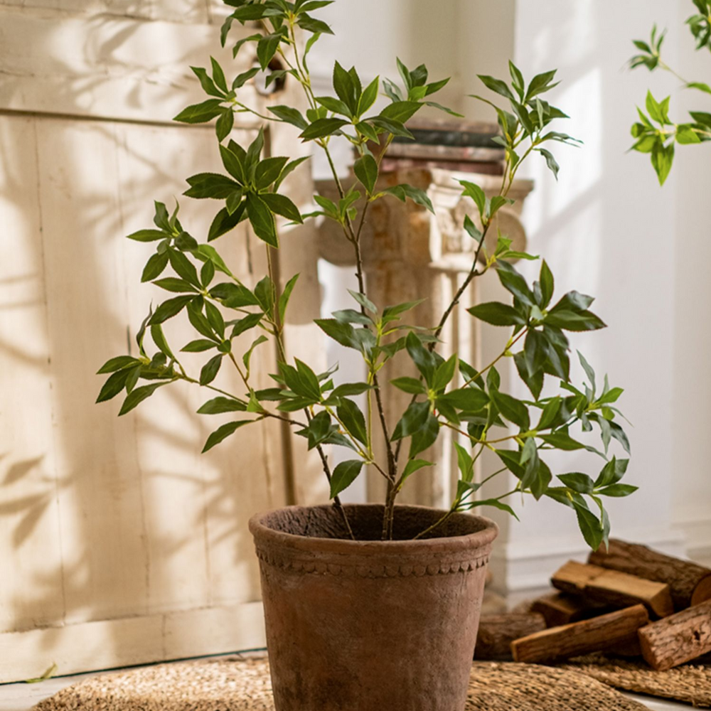 
                      
                        Artificial Japanese Enkianthus Faux Tree
                      
                    
