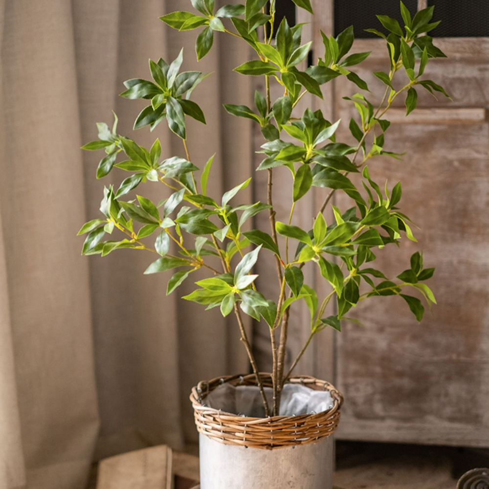 
                      
                        Artificial Japanese Enkianthus Faux Tree
                      
                    