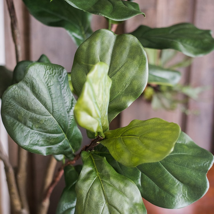
                      
                        Artificial Fiddle Leaf Fig Tree In Pot
                      
                    