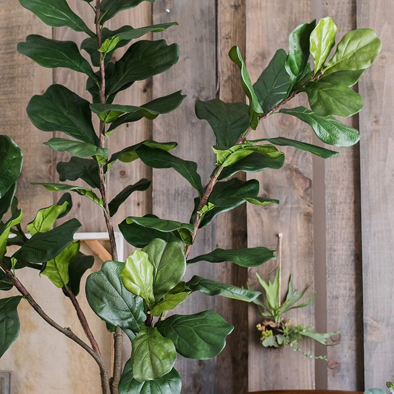 
                      
                        Artificial Fiddle Leaf Fig Tree In Pot
                      
                    