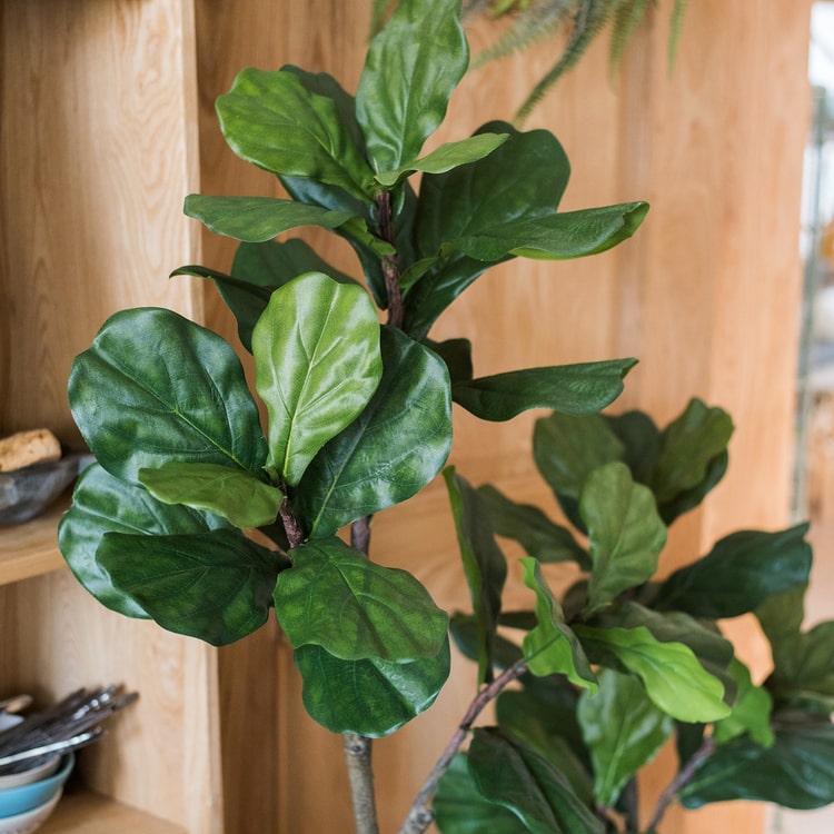 
                      
                        Artificial Fiddle Leaf Fig Tree In Pot
                      
                    