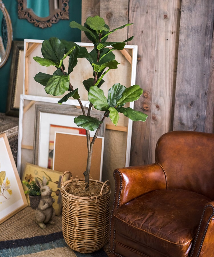 
                      
                        Artificial Fiddle Leaf Fig Tree In Pot
                      
                    