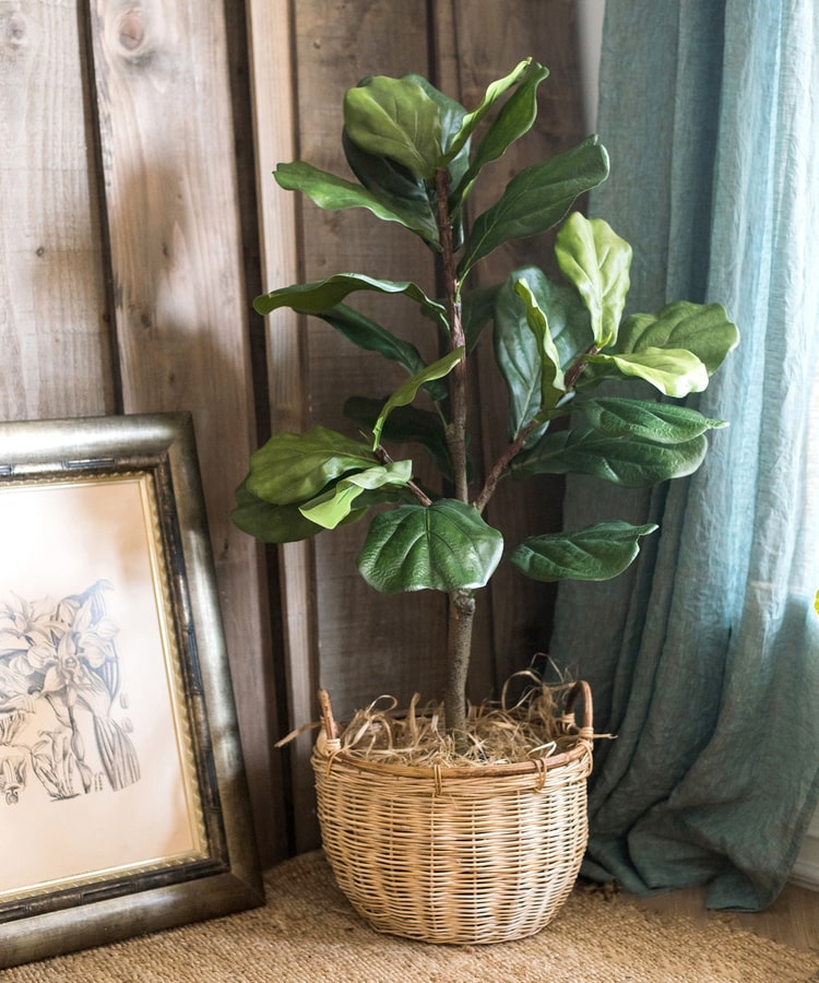 
                      
                        Artificial Fiddle Leaf Fig Tree In Pot
                      
                    