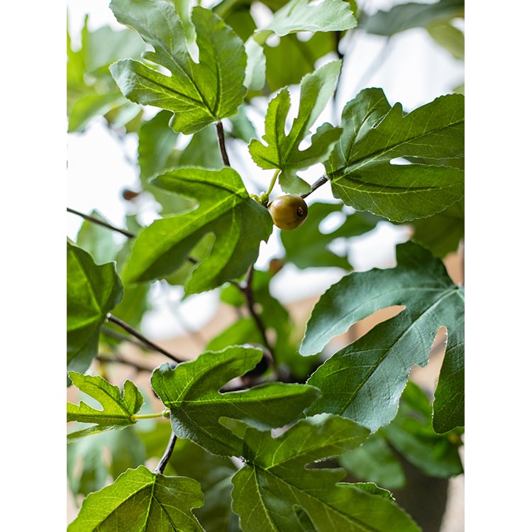 
                      
                        Artificial Faux Fig Leaf Stem
                      
                    