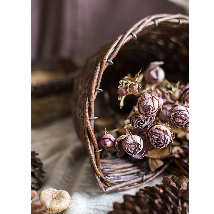 
                      
                        Horn Shape Willow Hanging Basket Planter
                      
                    