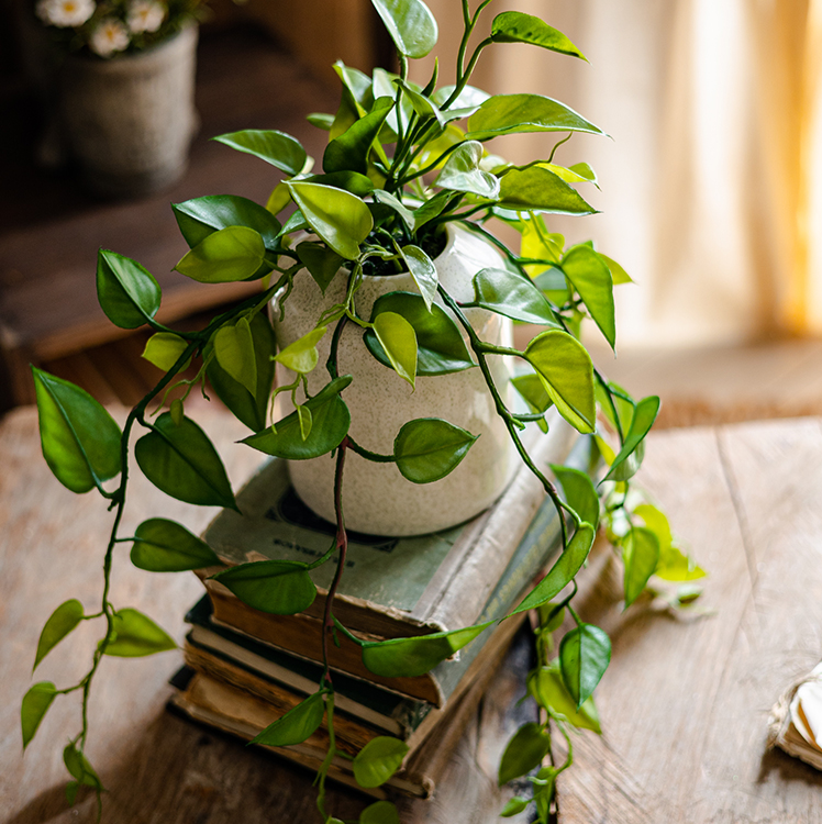 
                      
                        Artificial Devil's Ivy Plant in White Pot
                      
                    