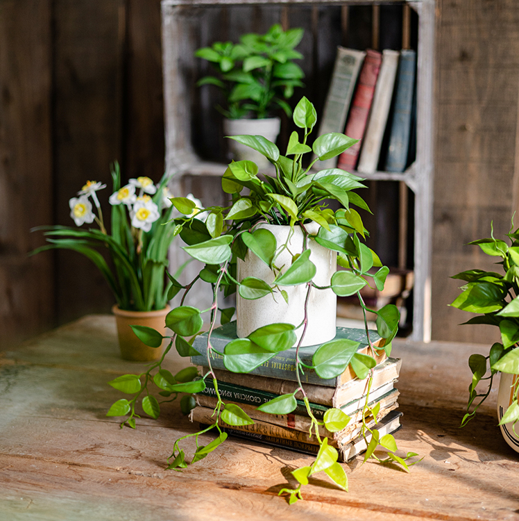 
                      
                        Artificial Devil's Ivy Plant in White Pot
                      
                    