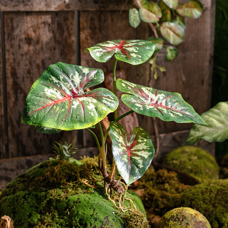 Faux Artificial Rooted Alocasia Bunch 19" Tall