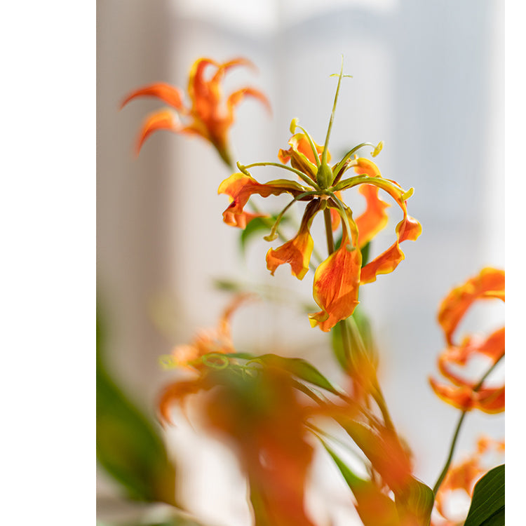 
                      
                        Faux Silk Flower Flame Lily Stem 29" Tall
                      
                    